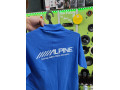 Футболка Alpine
