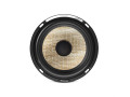Focal PS165FE