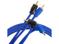 Kicx 2RCA-2RCA LRCA21 1м